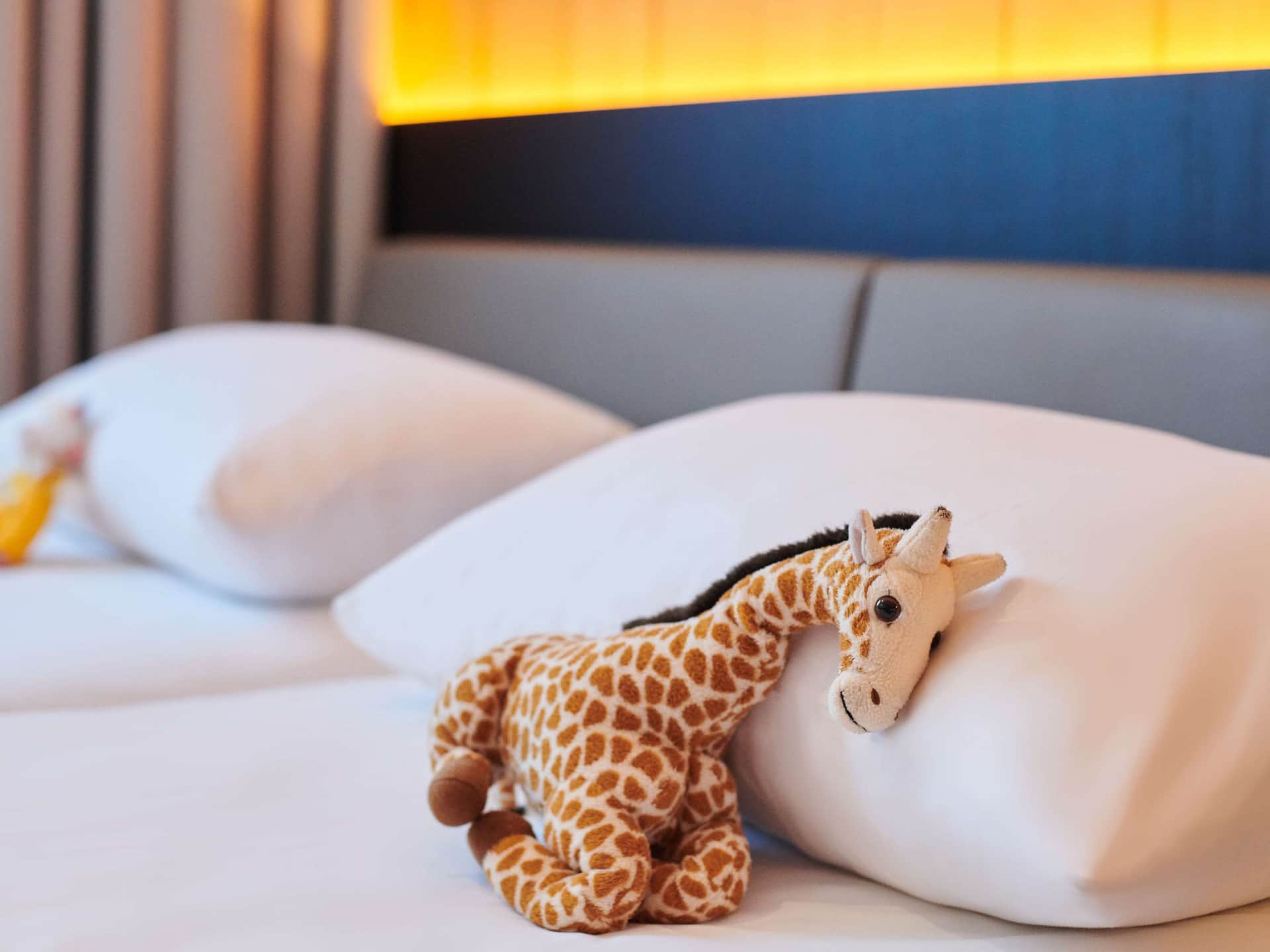 ibis Styles Cognac