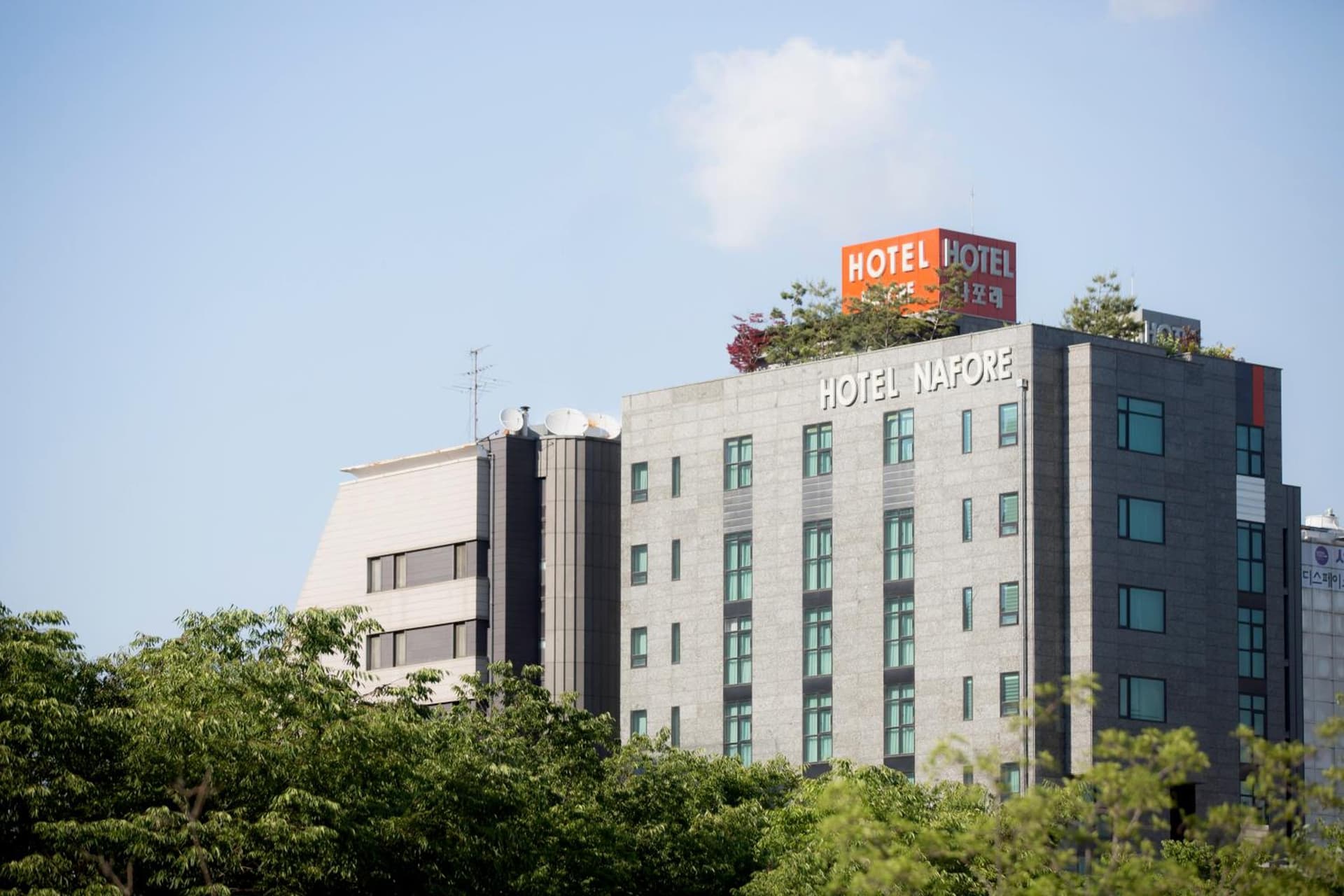 Hotel Nafore 호텔 나포레 종로