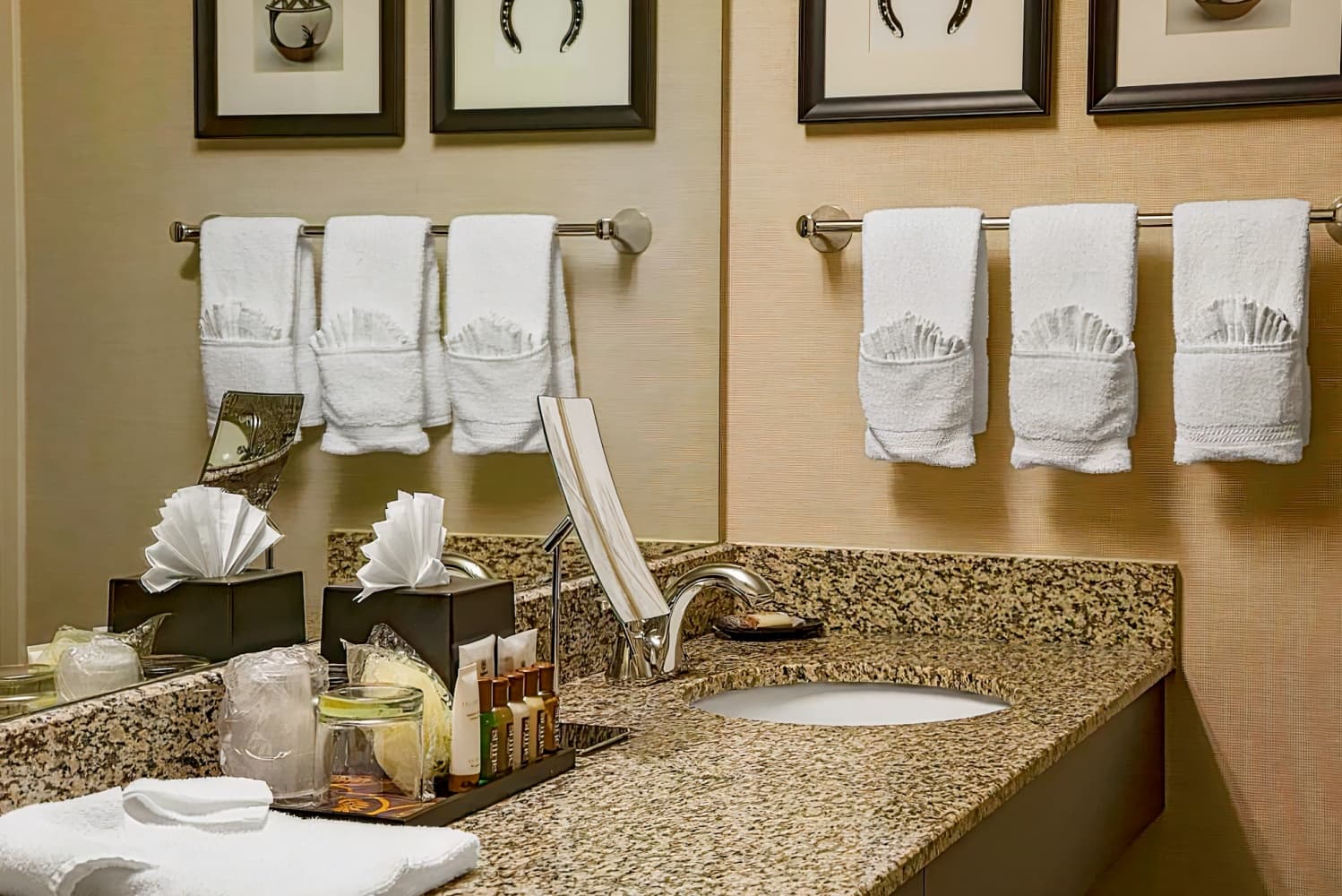 Sheraton Suites Houston Near The Galleria