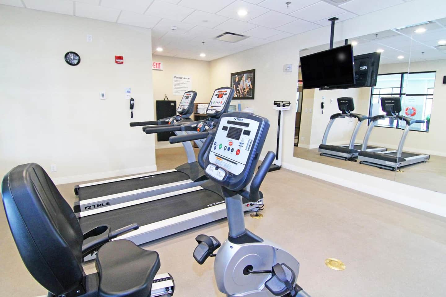 Holiday Inn Express & Suites Calgary University