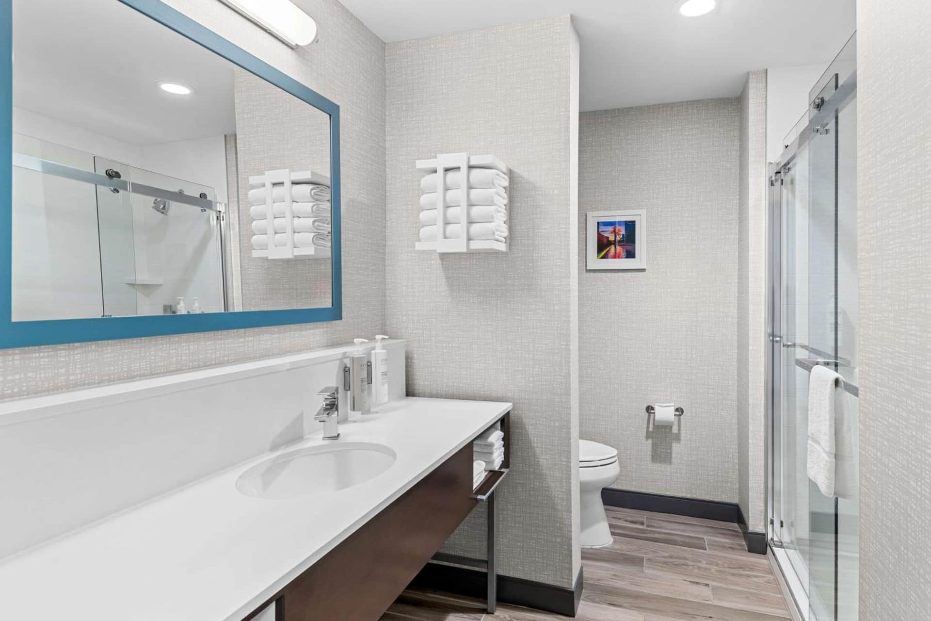 Hampton Inn & Suites Farmers Branch Dallas