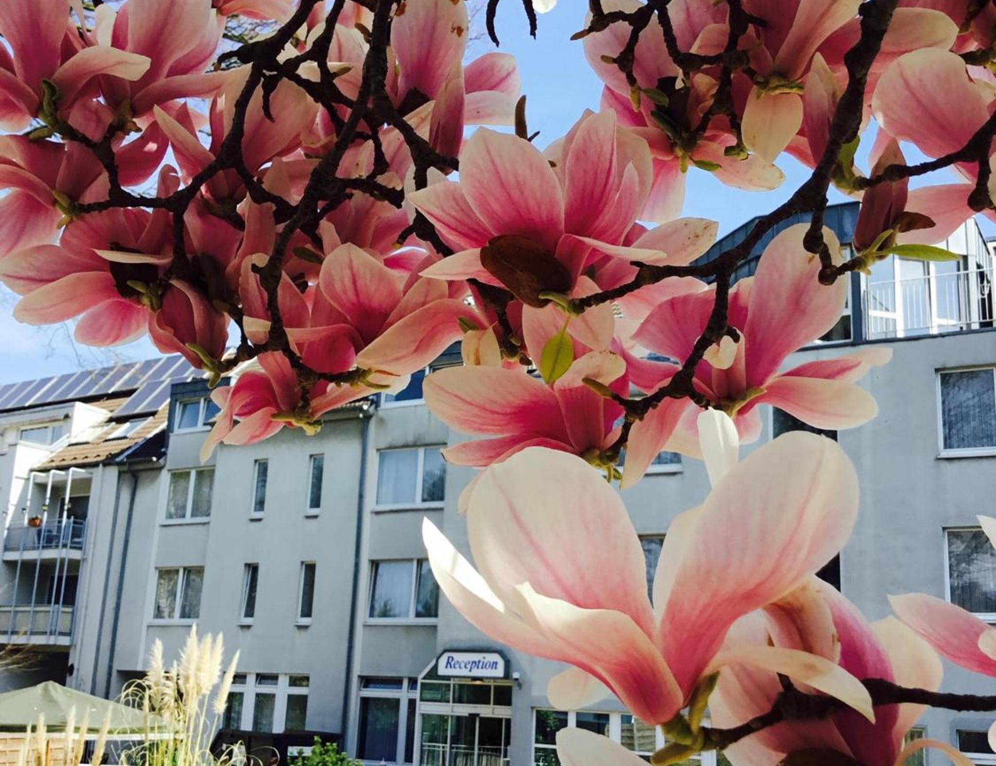 Hotel Astoria City Resort Essen