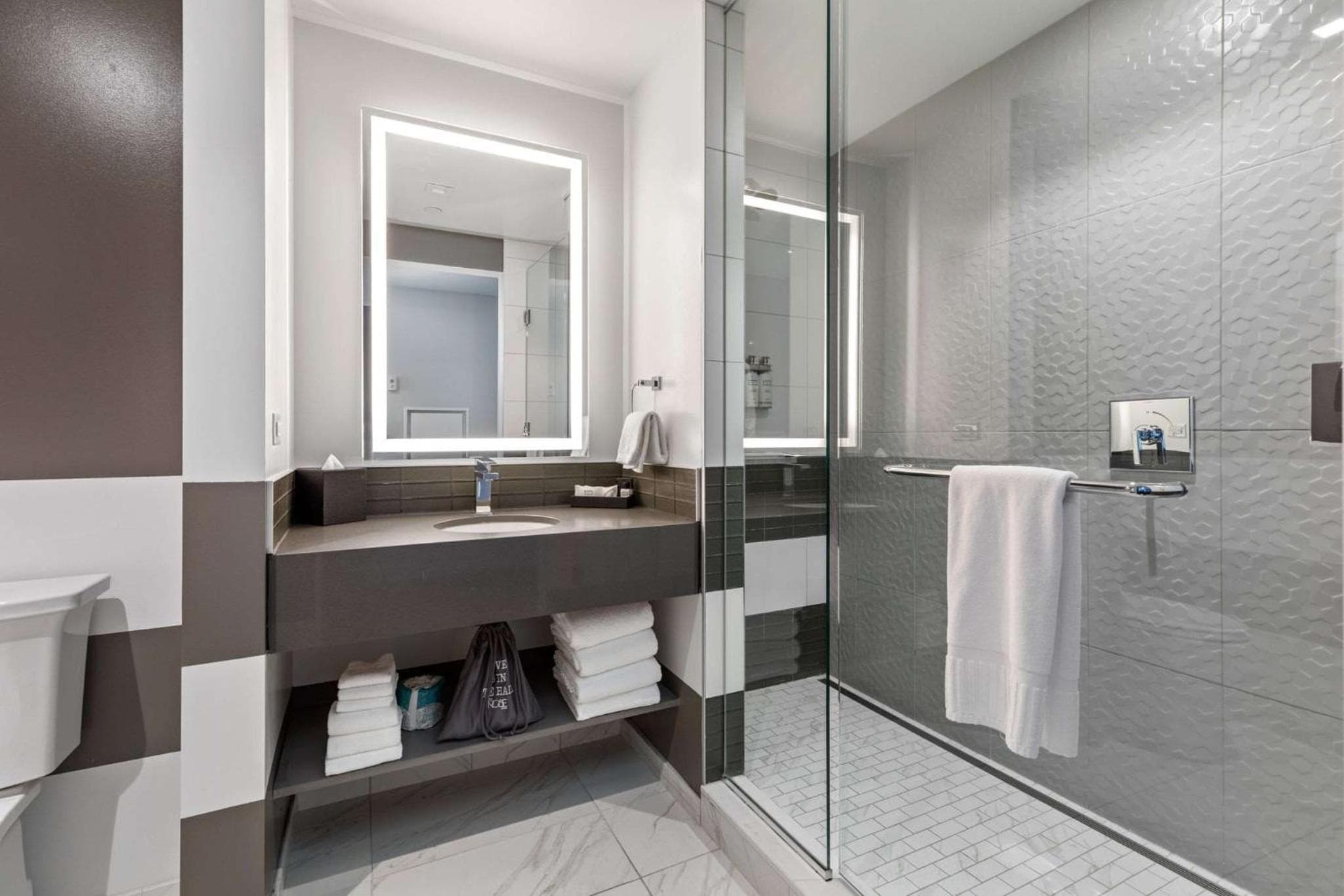 The Rose Hotel Chicago O'hare Tapestry Collection by Hilton