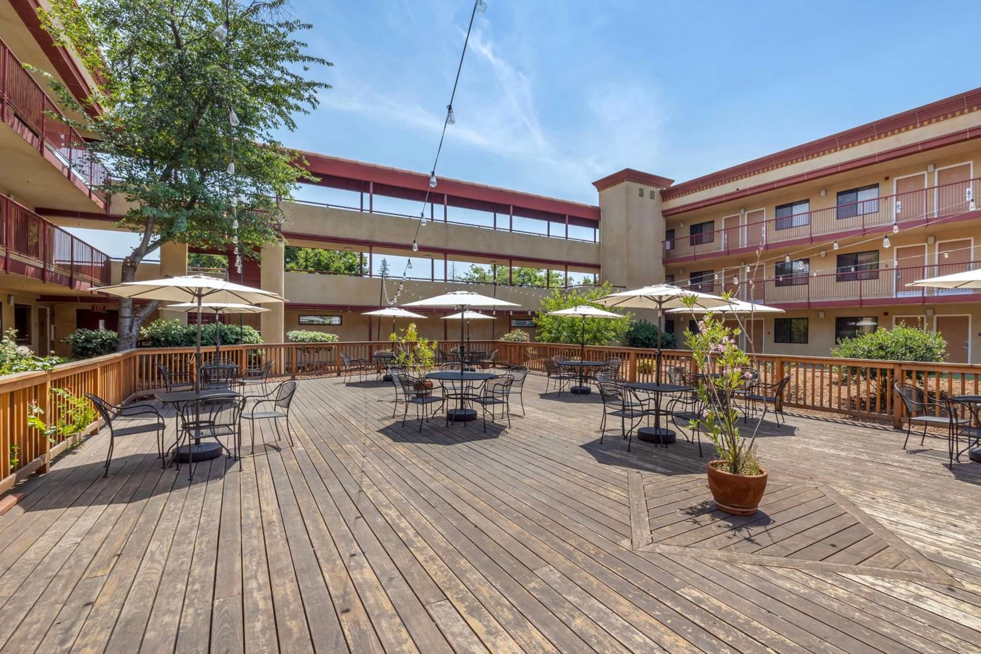 Best Western Plus Orchid Hotel and Suites
