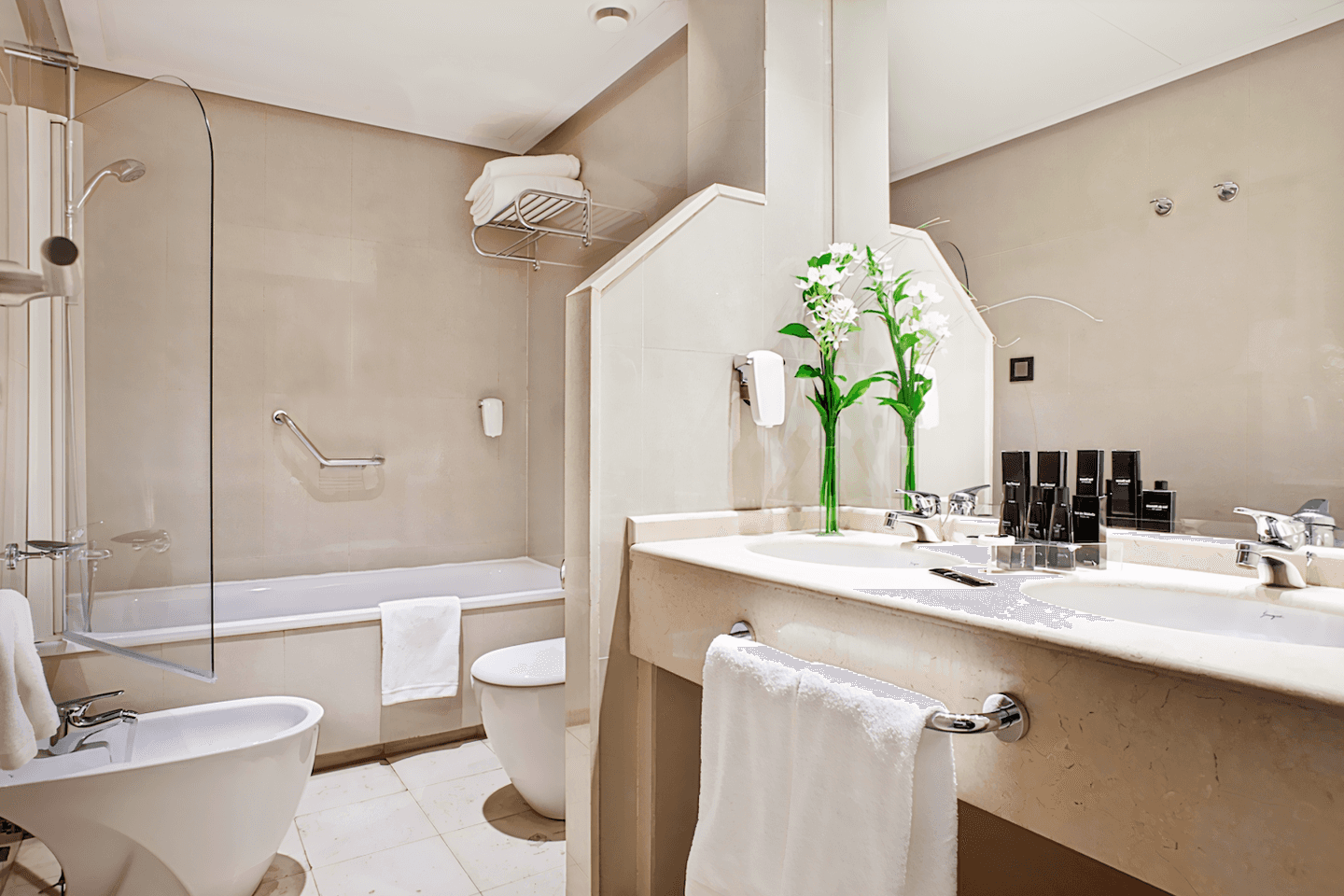 Hotel Princesa Plaza