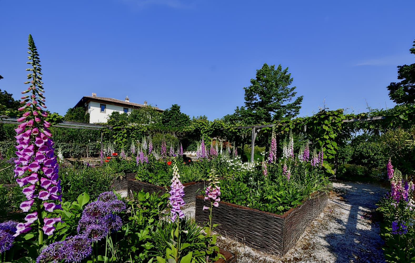 Palazzo di Varignana Resort & SPA