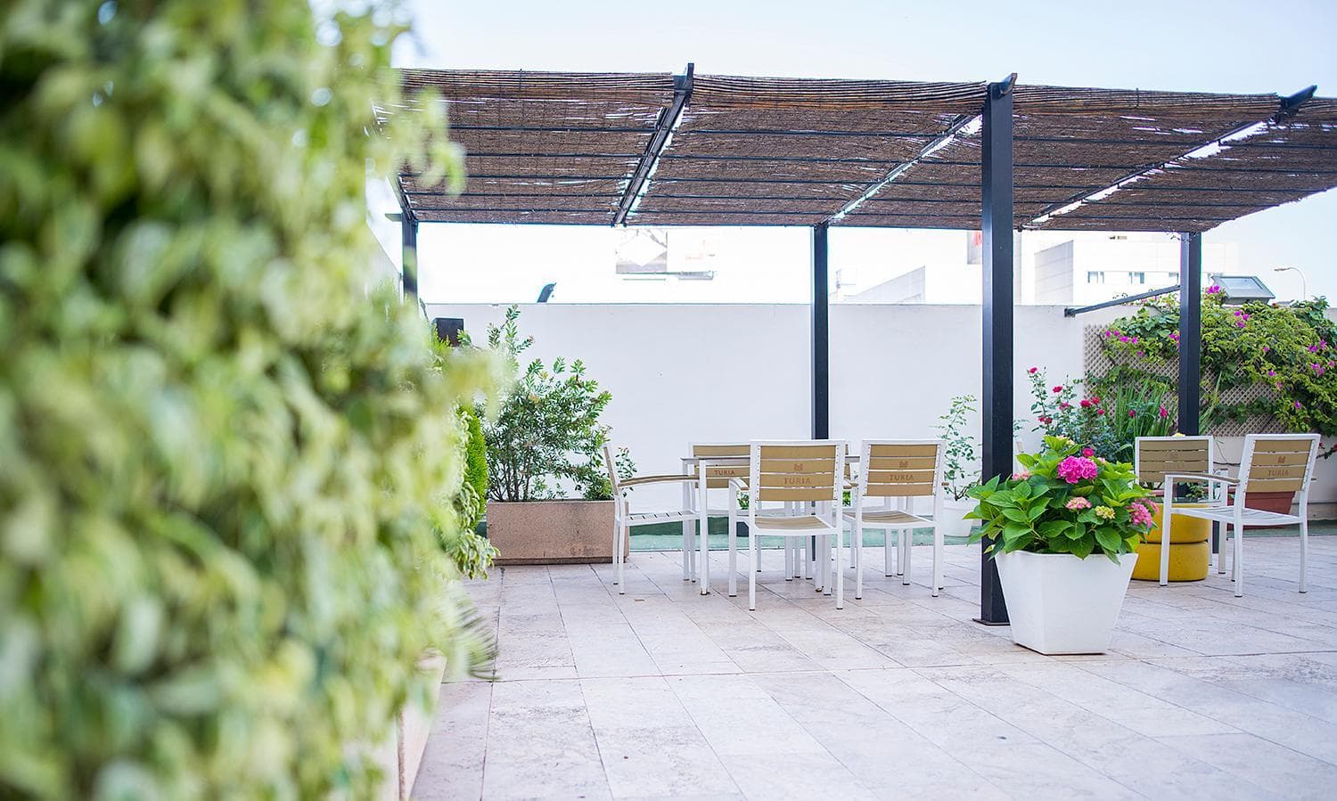 Xon's Valencia
